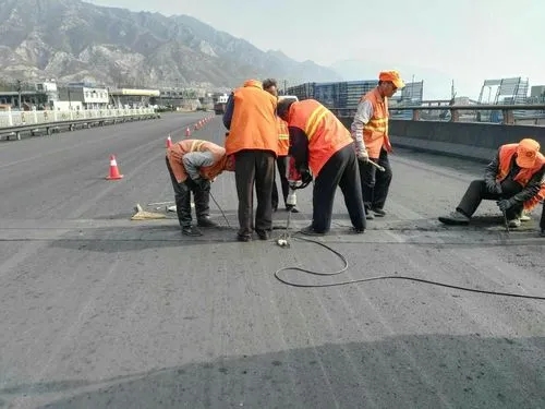 萝北道路桥梁病害治理